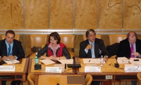 Committee for the CIS, the Caucasus and the Black Sea meets at United Nations in Geneva
